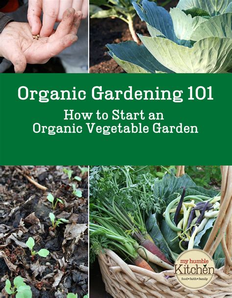 Organic Vegetable Gardening 101: How To Start an Organic Vegetable ...