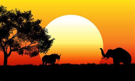 African Safari Background