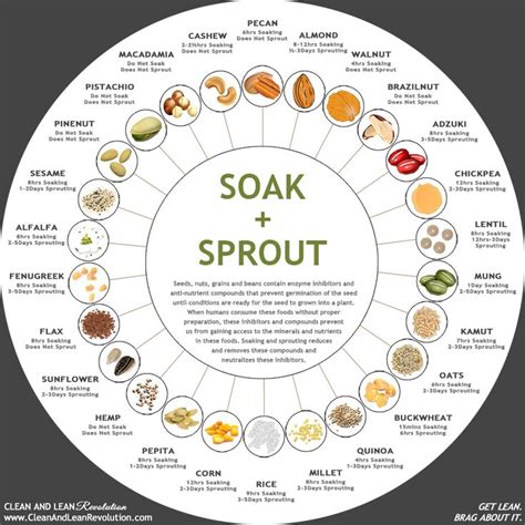 Soak & Sprout chart - clearly handy | Growing seedlings, Growing ...