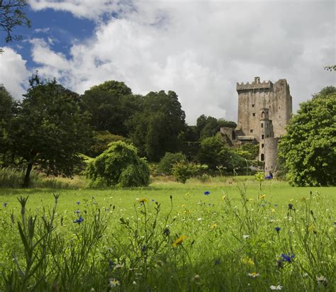 Discover County Cork's Blarney Castle – home of the famous Blarney ...