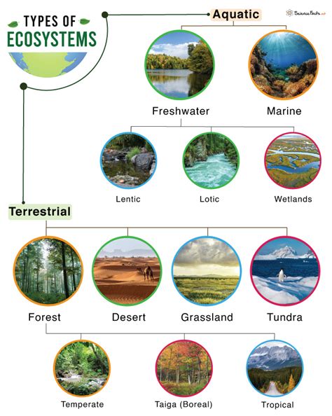 Types of Ecosystems