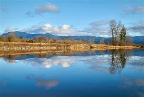 Walk Alouette River Sunshine Stock Photo - Image of golden, nature ...