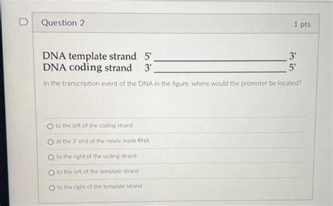 Solved DNA template strand 5′ DNA coding strand 3′ 3' 5′ In | Chegg.com ...