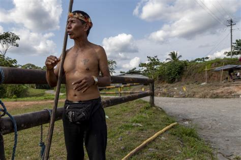 Ecuador project aims to protect Yasuní park borders & Indigenous peoples