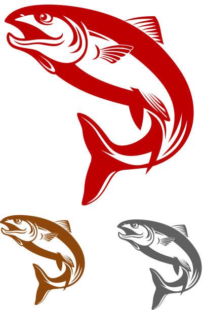 Royalty Free Salmon Clip Art, Vector Images & Illustrations - iStock