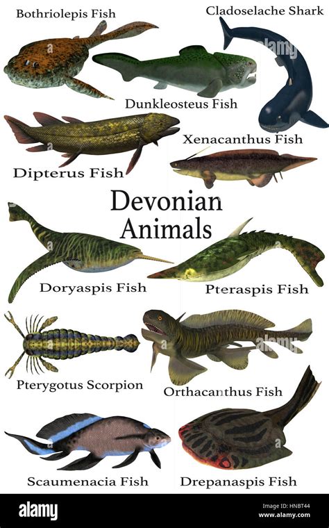 Devonian Fish