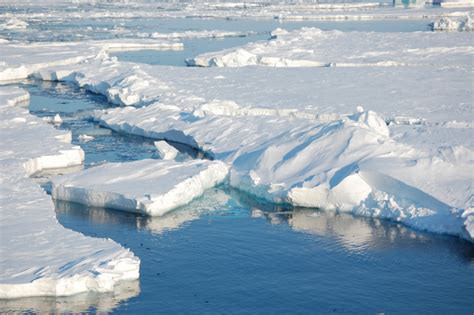 North pole will be ice-free in summer - McGill University