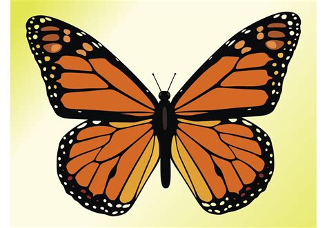 Monarch Butterfly - Download Free Vector Art, Stock Graphics & Images