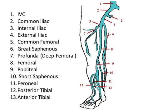 Ultrasound Registry Review - Extremity Venous