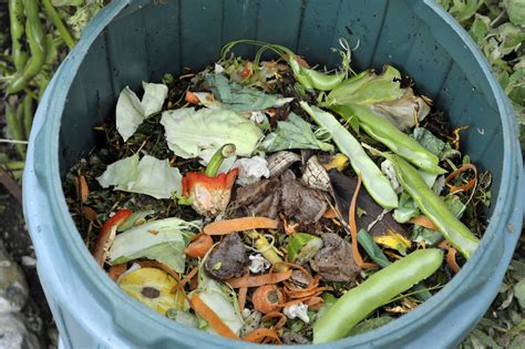 Can I Compost That? 100+ Things You Can & Should Compost