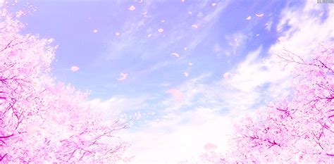 sakura, anime, and pink image | Anime landschaft, Kirschblüten, Pc ...