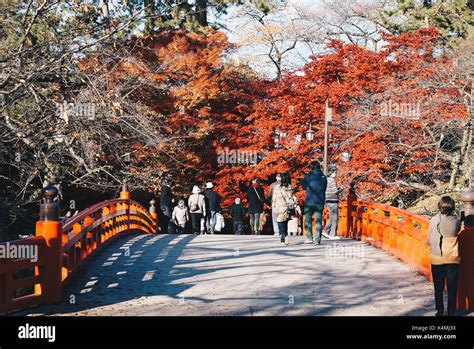 Autumn foliage in Japan Stock Photo - Alamy