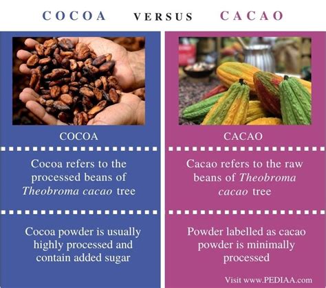 What is the Difference Between Cocoa and Cacao – Pediaa.Com