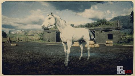 White Arabian Horse | RDR2 & Online Horse Stats & Locations