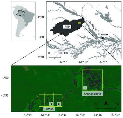 Map, showing location of Jaú National Park (JNP), within Brazilian ...