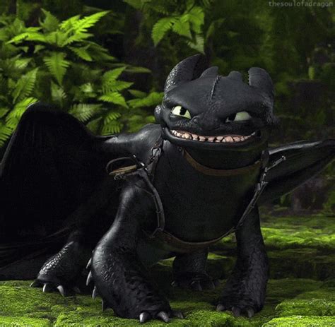 Toothless Httyd GIFs | Tenor