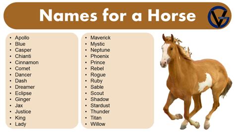 List of Names for a Horse | Naming Ideas - GrammarVocab