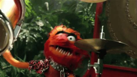 Drumming GIF - Animal Muppets Drum - Discover & Share GIFs