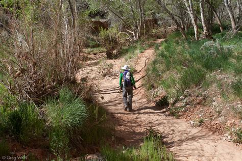 Grand Gulch Trail - Greg Willis