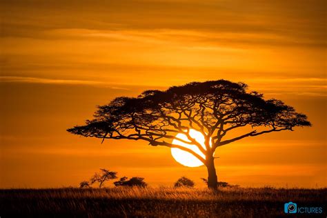 (40) Facebook Sunset Photography, Landscape Photography, Africa ...