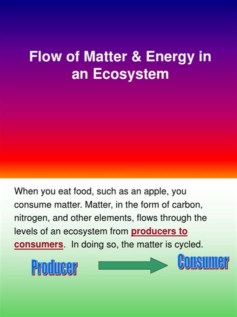 Flow of Matter and Energy in An Ecosystem | PDF