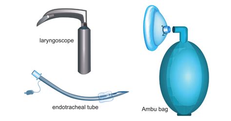 Intubation: Overview and Practice Questions