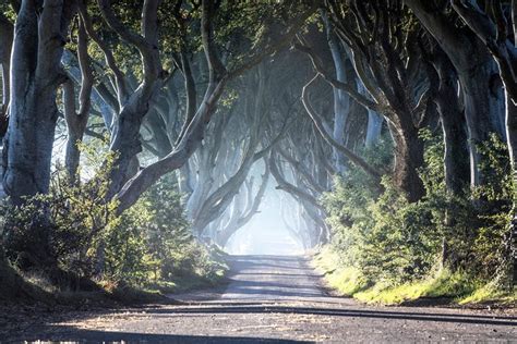 Game Of Thrones Premium Tour From Belfast Including Giants Causeway ...