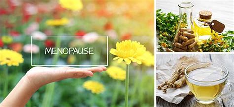 7 Natural Remedies for Menopause - The Lost Herbs