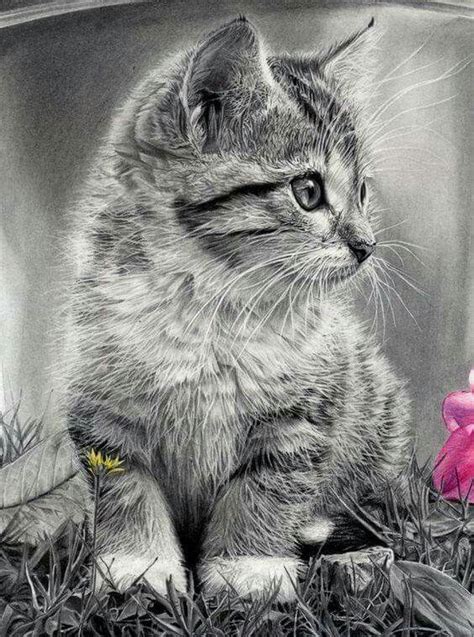 Pin by rudene Hogg on amo a los gatos | Cat art, Pencil drawings of ...