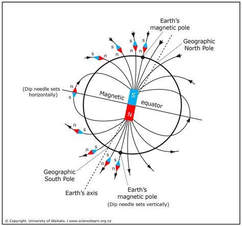 Fossil compasses — Science Learning Hub