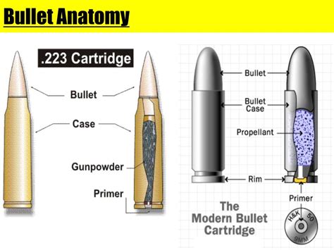 Parts Of A Bullet Diagram