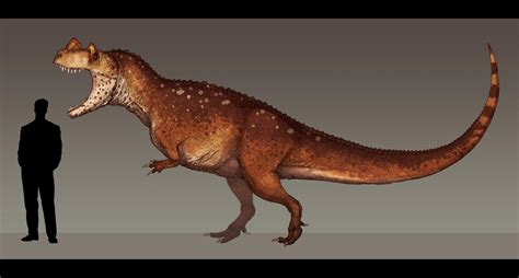 Ceratosaurus dentisulcatus by Paleocolour on DeviantArt