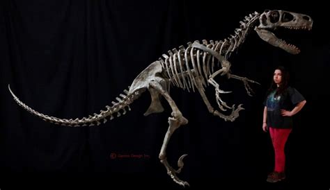 Utahraptor Skeleton | Gaston Design, Inc.