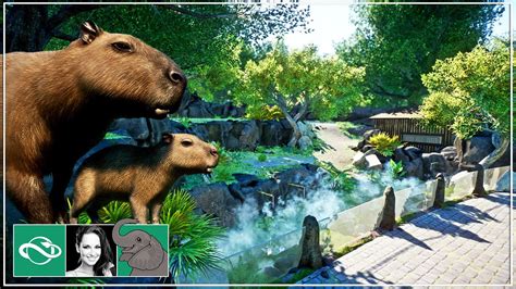 🐘 Building a Capybara Spa Habitat in City Zoo | Planet Zoo Speed Build ...