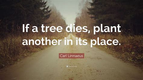 Top 20 Carl Linnaeus Quotes (2024 Update) - QuoteFancy