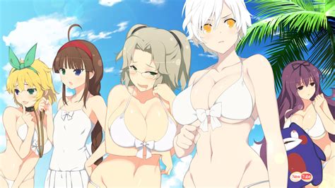 Senran Kagura Producer Wants to Release Games for Xbox One and PC