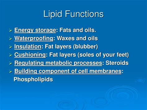 PPT - Macromolecules: Carbohydrates, Lipids, Proteins and Nucleic Acids ...