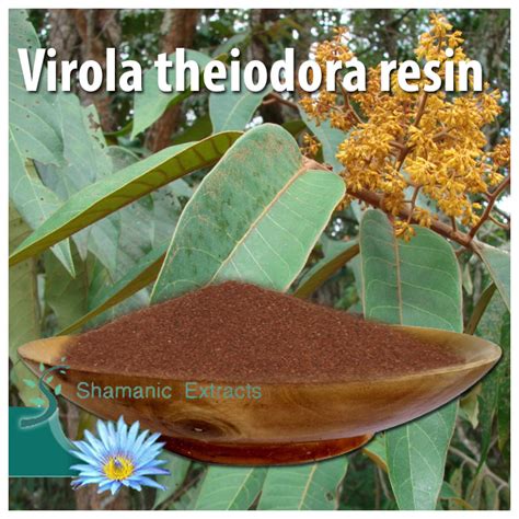 Virola theiodora resin