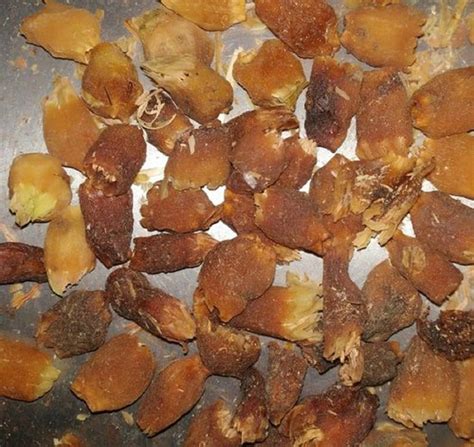 Dried Mahua Flower at Rs 40/kg | Ayurvedic Herb in New Delhi | ID ...