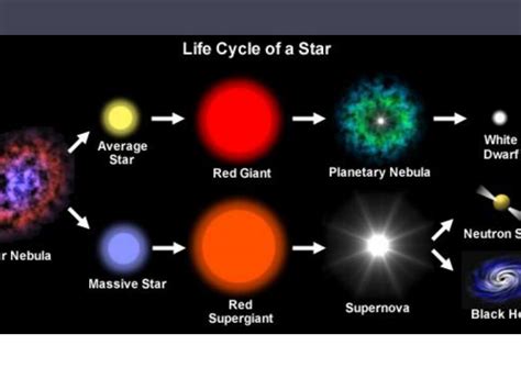 Star Life Cycle Worksheet