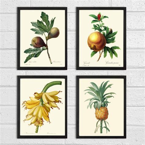 Tropical Fruit Wall Decor Art Prints Set of 4 Beautiful Antique Vintage ...