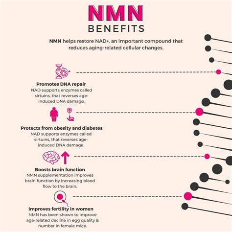 NMN Benefits: The Top 7 You Need To Know