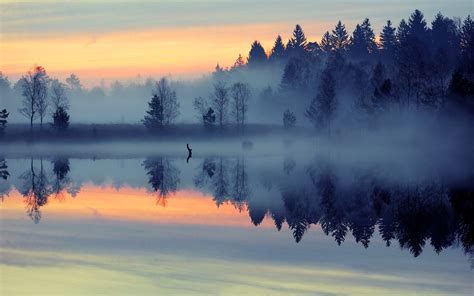 nature, Landscape, Mist, Sunrise, Lake, Forest, Reflection, Blue, Trees ...