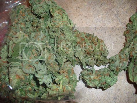 KusH Photo by EyyFouRTee | Photobucket