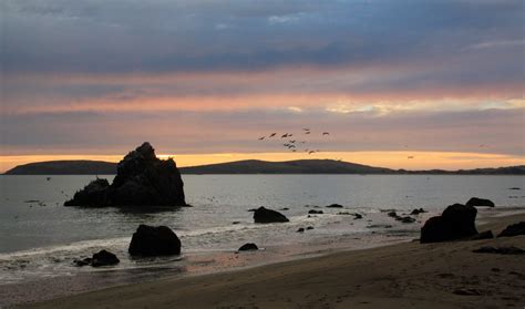 Pinnacle Gulch Beach, Bodega Bay, CA - California Beaches