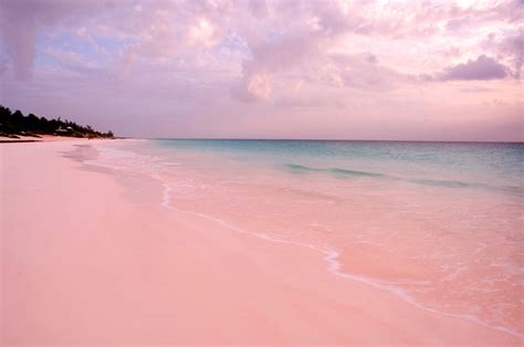 Karibik: Bahamas, Harbour Island, Pink Sand Beach - [GEO]