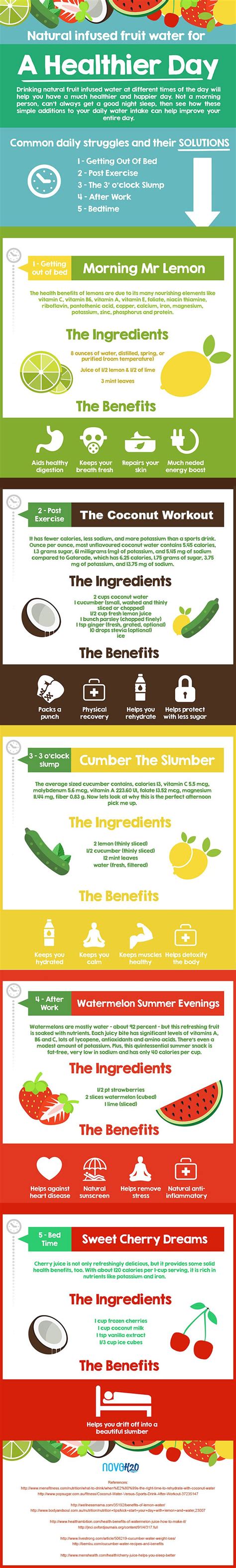 Healthy Fruit Infused Water Recipes [Infographic]