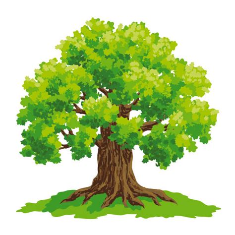 22,400+ Large Tree Stock Illustrations, Royalty-Free Vector Graphics ...