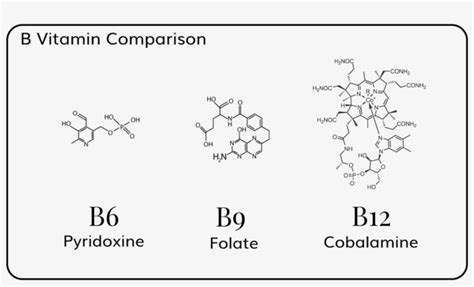 Vitamin B Comparison - Vitamin B Complex Structure PNG Image ...