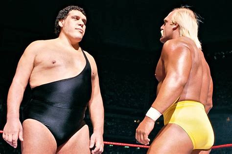 The story of Andre the Giant taking an actual s*** on Hulk Hogan during ...